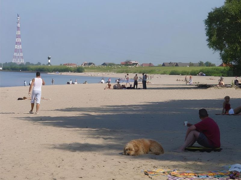 Elbstrand Bassenfleth, Hundestrand im Alten Land