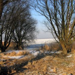 elbe feriendorf altes land deich 