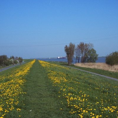 elbe feriendorf altes land deich 