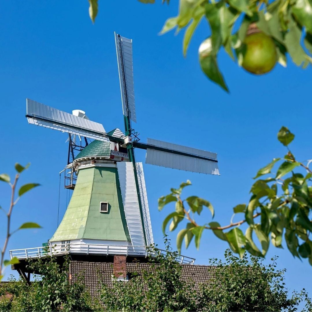 feriendorf altes land elbe  muehle