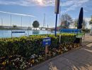 freibad elbe hollern twielenfleth 