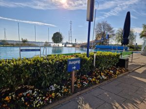 freibad elbe hollern twielenfleth 