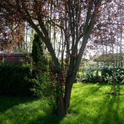 ferienhaus ankerglueck feriendorf altes land elbe 