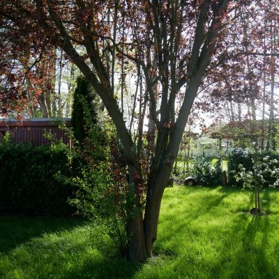 ferienhaus ankerglueck feriendorf altes land elbe 