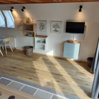 ferienhaus altes land hollern twielenfleth elbe feriendorf 