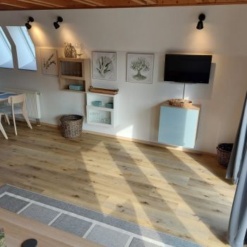 ferienhaus altes land hollern twielenfleth elbe feriendorf 