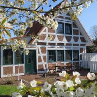 ferienhaus elbstar altes land hollern twielenfleth elbe 