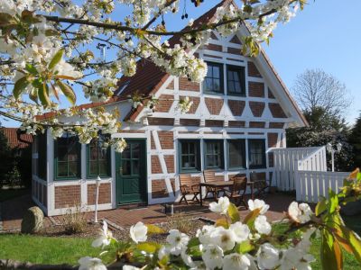 Ferienhaus Elbstar bis 6 Pers.