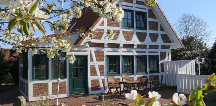 ferienhaus elbstar altes land hollern twielenfleth elbe 