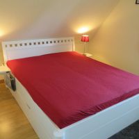 ferienhaus elbstar altes land hollern twielenfleth elbe feriendorf 