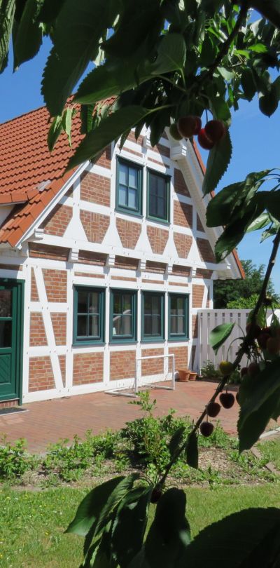 ferienhaus elbstar feriendorf altes land elbe