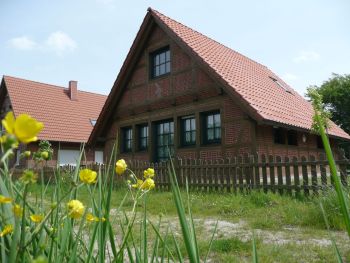 ferienhaus hanse altes land hollern twielenfleth elbe 