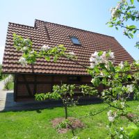 ferienhaus hanse altes land hollern twielenfleth elbe 