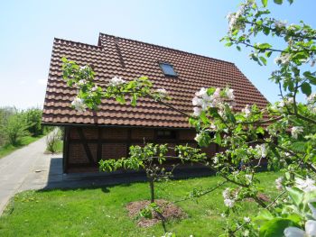 ferienhaus hanse altes land hollern twielenfleth elbe 