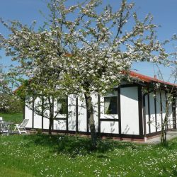 ferinehaus kogge