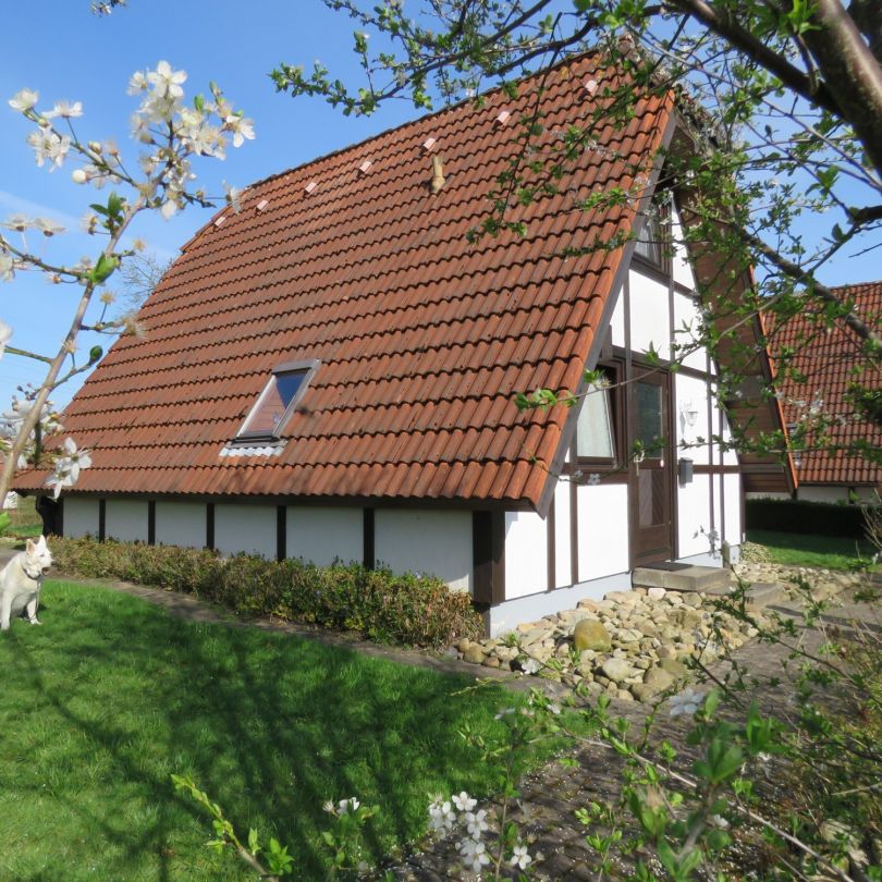 ferienhaus lederstrumpf feriendorf altes land elbe 135 
