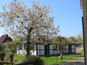 ferienhaus scout feriendorf altes land elbe 79 