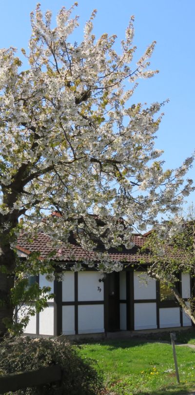 ferienhaus scout feriendorf altes land elbe 79 