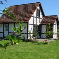 ferienhaus scout 60 altes land hollern twielenfleth elbe 