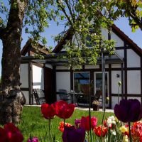 ferienhaus scout 60 altes land hollern twielenfleth elbe 128