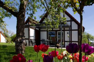 ferienhaus scout 60 altes land hollern twielenfleth elbe 128