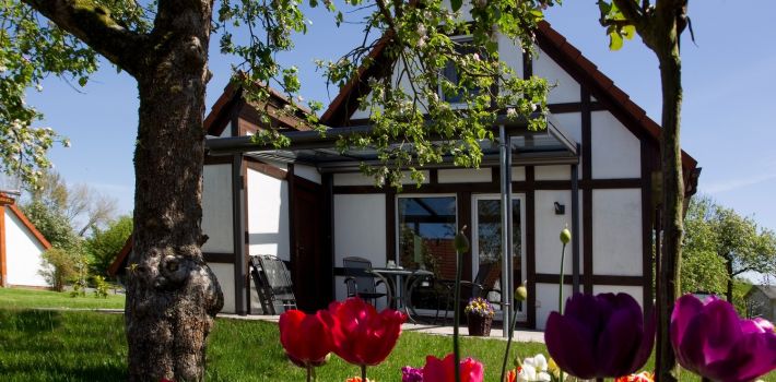 ferienhaus scout 60 altes land hollern twielenfleth elbe 128