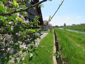 feriendorf altes land mai 16