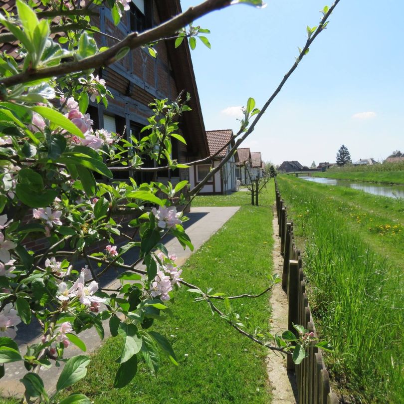 feriendorf altes land mai 16