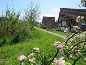 feriendorf altes land mai 16