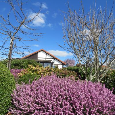 ferienhaus gala feriendorf altes land elbe
