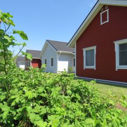 ferienhaus nordland feriendorf altes land elbe 