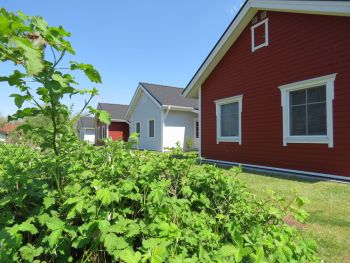 ferienhaus nordland feriendorf altes land elbe 