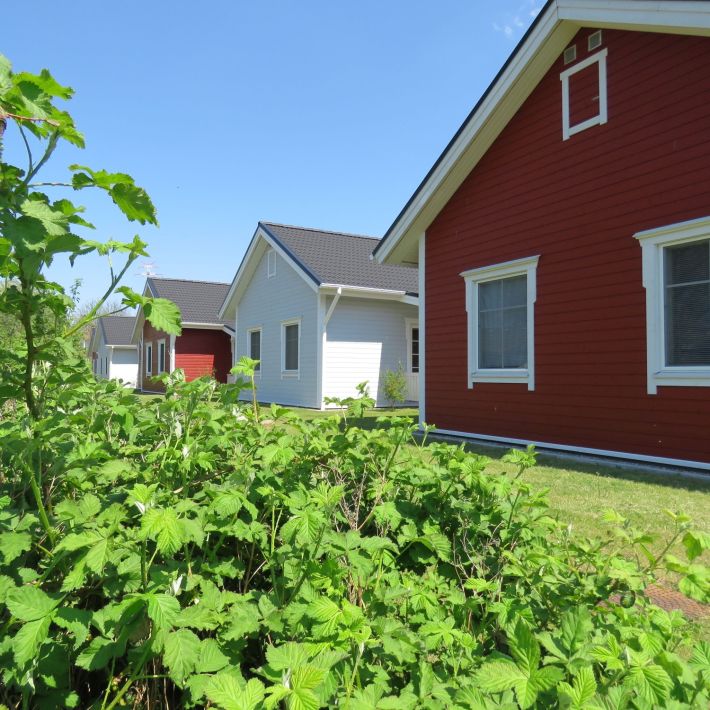 ferienhaus nordland feriendorf altes land elbe 
