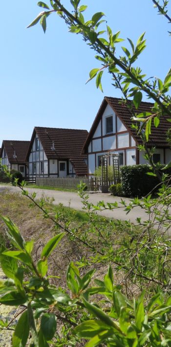 ferinedorf ales lan im  dorf 