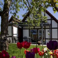 ue ferienhaus scout 60 2 webpx