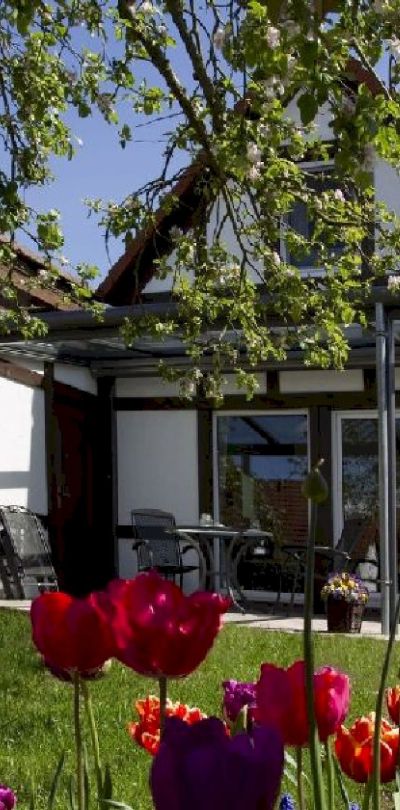 ue ferienhaus scout 60 2 webpx